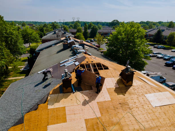 Quick and Trustworthy Emergency Roof Repair Services in Western Lake, TX