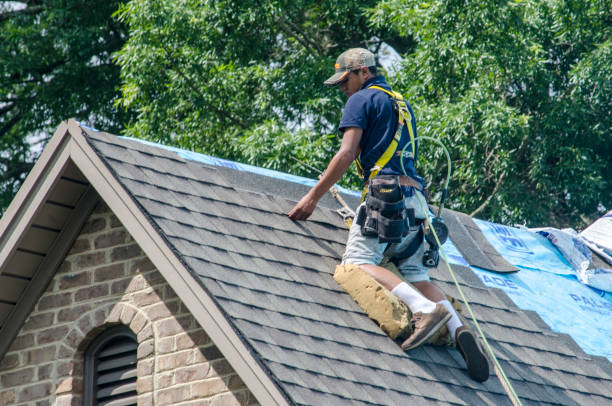 Best Shingle Roofing Installation  in Western Lake, TX